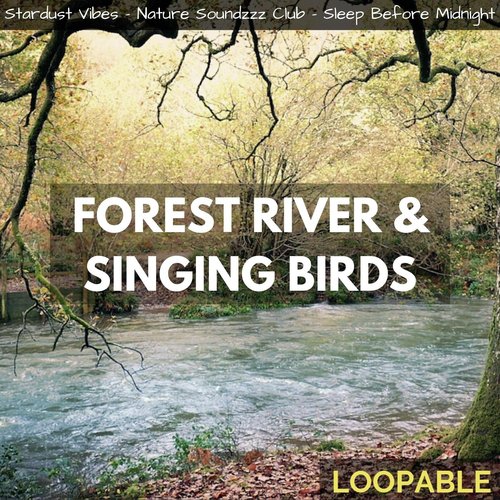 Forest River & Singing Birds (Loopable)_poster_image