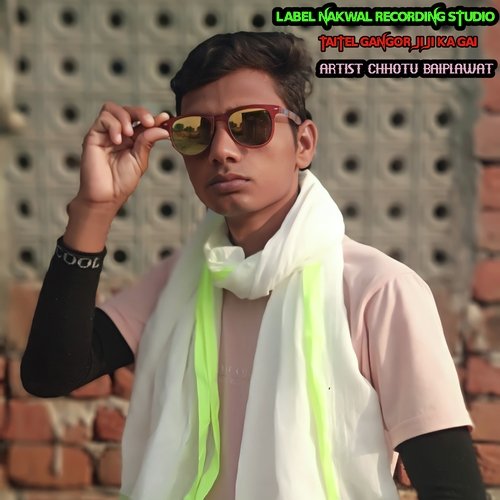 Gangor Jiji Ka Gai
