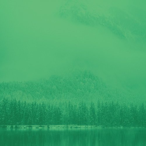Paradise Like (Resting) cover art