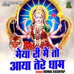 Maiya ri main to aaya tere dham (Hindi)