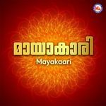 Ankamellaam artwork