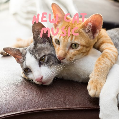 Calm Piano Cats cover art