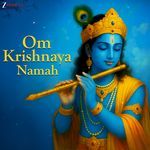 Om Krishnaya Namah