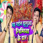 Pad Gayil Jhuluaa Nimiya Ke Daar