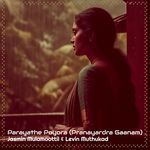 Parayathe Poyora (Pranayardra Gaanam)