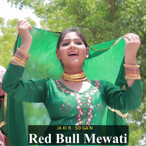 Red Bull Mewati