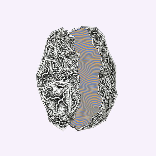 Nils cover art