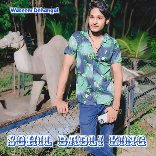 Sohil Badli King