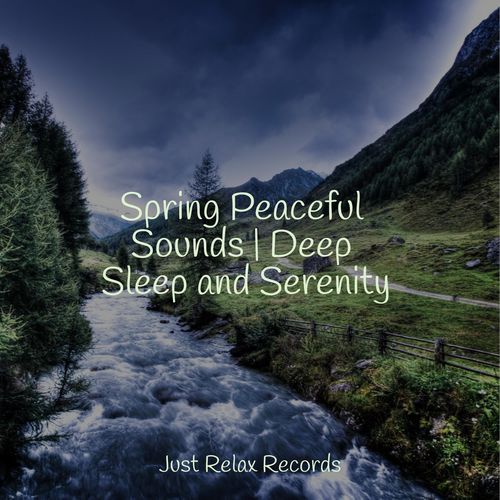 Spring Peaceful Sounds | Deep Sleep and Serenity_poster_image