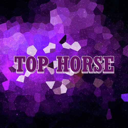 Top Horse_poster_image