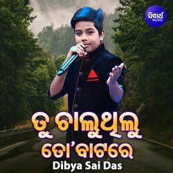 Tu Chaluthilu To Batare