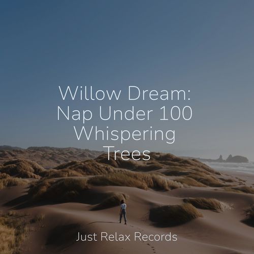 Willow Dream: Nap Under 100 Whispering Trees