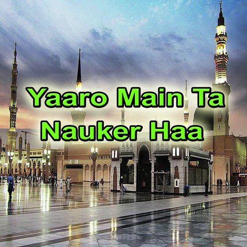 Yaaro Main Ta Nauker Haa