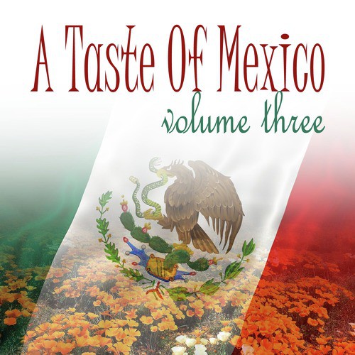 A Taste Of Mexico Vol 3