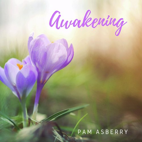 Awakening cover art