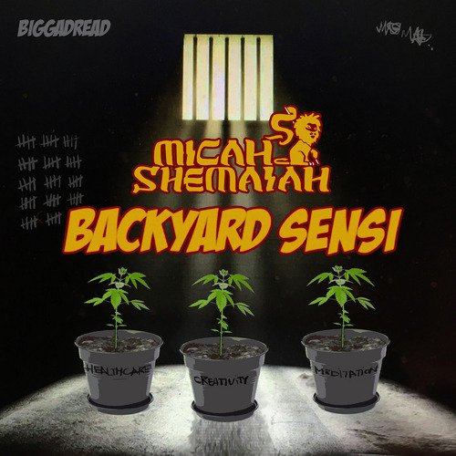 Backyard Sensi_poster_image