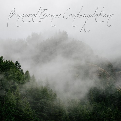 Binaural Tones Contemplations – Relaxing and Ambient Hz Melodies for Body and Mind Reset