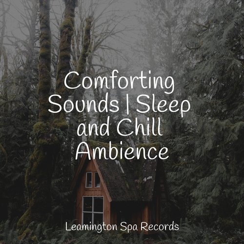 Focused, Relaxed cover art