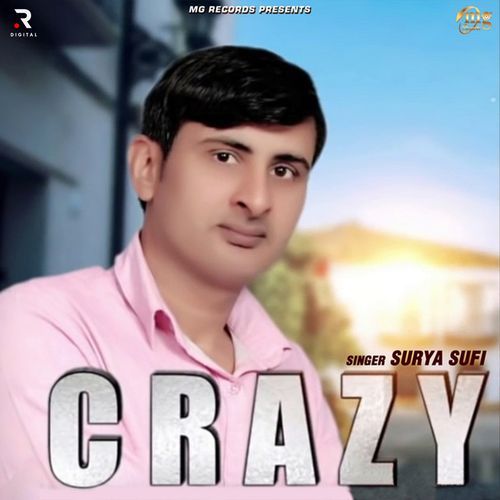 Crazy_poster_image