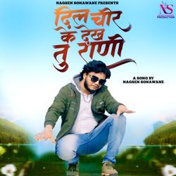 Dil Chir Ke Dekh Tu Rani