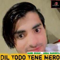 Dil Todo Tene Mero-JgI9aRhSYUI