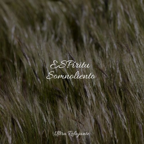 Control De Alma cover art