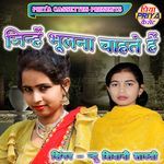 Jinhen Bhoolana Chahate Hain