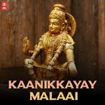 Kaanikkayay Malaai