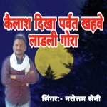 Kailash Dikha Parwat Khahve Ladali Gora