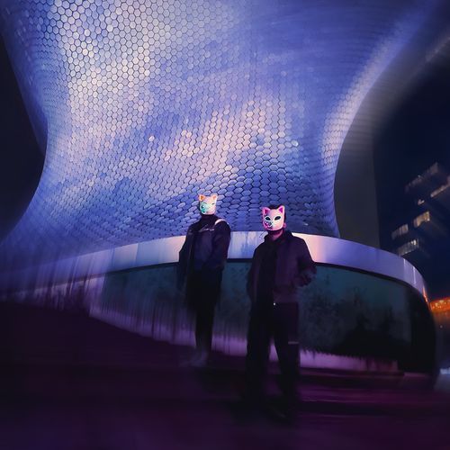 Zebras cover art