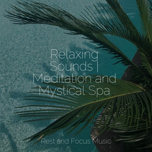 Morning Sounds | Meditation
