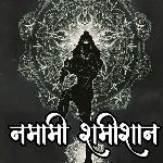 Namami Shamishan