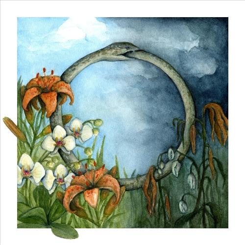 Patina cover art