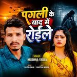 पगली के याद में रोईले