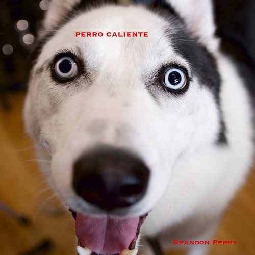 Perro Caliente_poster_image