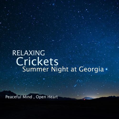 Sleep Music, Relaxation Nature Sounds, Cricket Summer Night