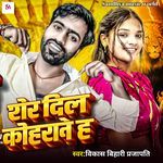 Sher Dil Kohrane H