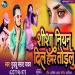 Shisha Niyan Dil Humar Turalu