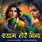 Shyam Tere Bina