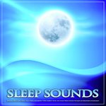 Sleep Sounds: Binaural Beats, Alpha Waves, Delta Waves, Isochronic Tones, Ambient Music and Ocean Waves Sounds For Sleep and Brainwave Entrainment
