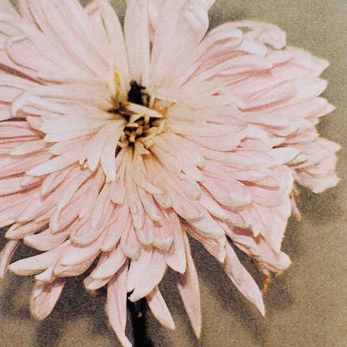 Songs That Made Me