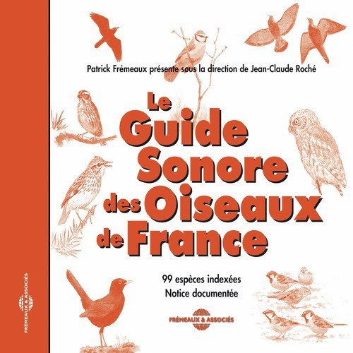 Sound Guide Of The Birds In France
