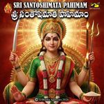 Brahmadevudu artwork