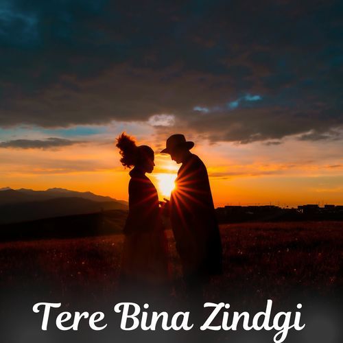 Tere Bina Zindgi