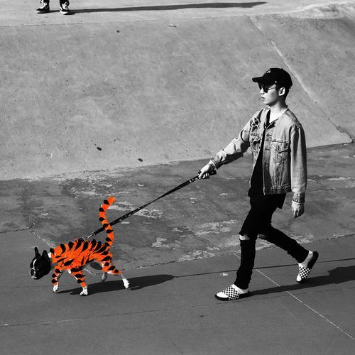 Tiger (feat. Ja Mezz) cover art
