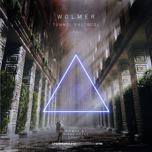 Tunnel Protocol (Diego Amaro, Chaoz D Remix) cover art