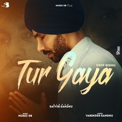 Tur Gaya