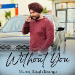 Without You