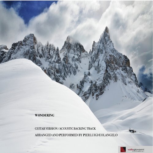 Wondering (Acoustic Backing Track) cover art