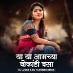 Ya Ya Amchya Bokandi Basa (DJ Remix)